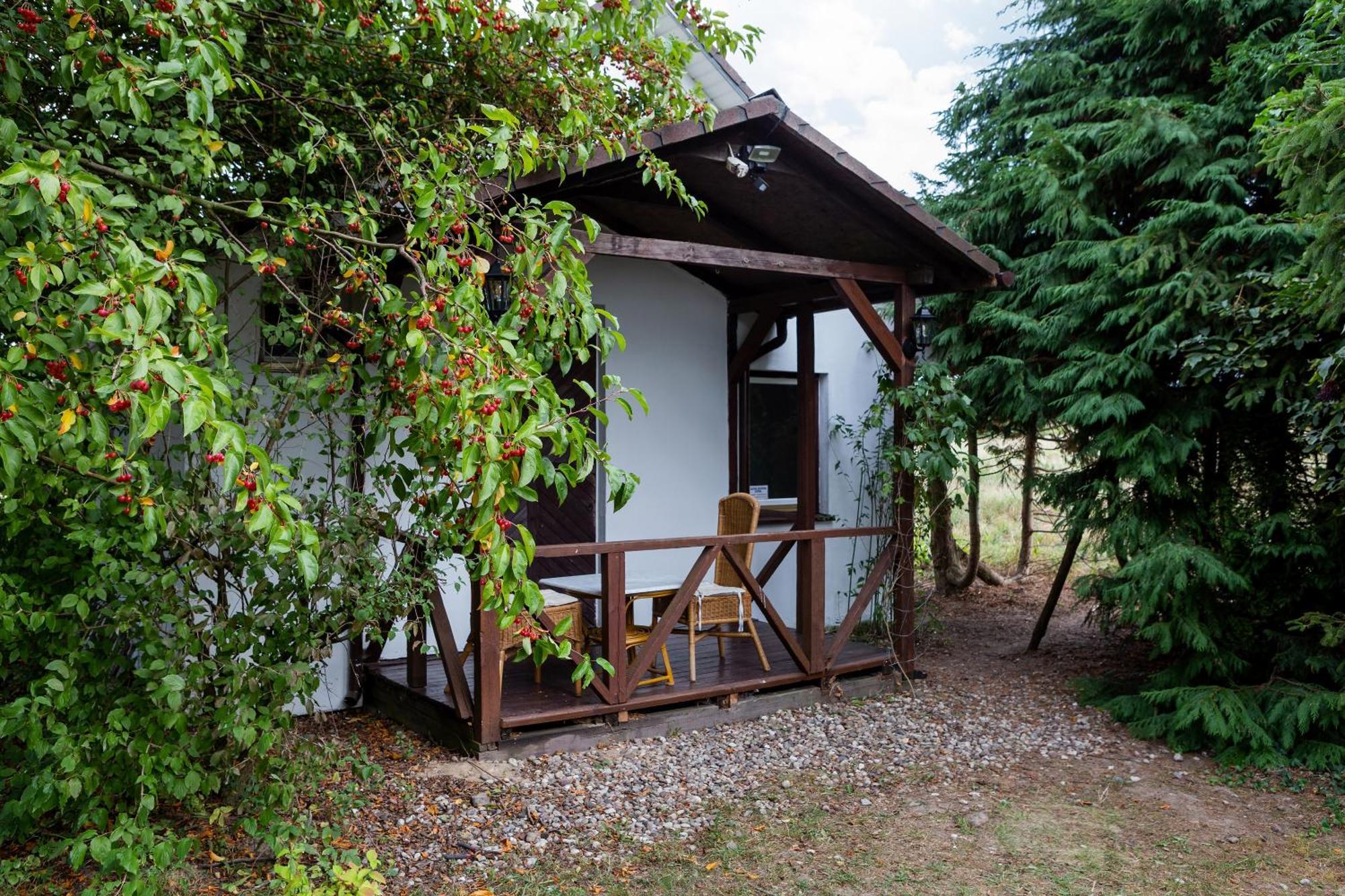 Windmill Vacation Home In Ledzin Near Baltic Sea Niechorze Rom bilde