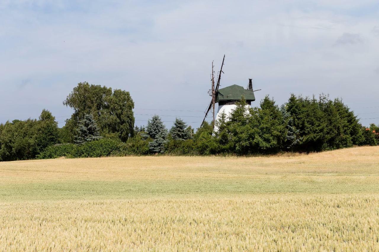 Windmill Vacation Home In Ledzin Near Baltic Sea Niechorze Eksteriør bilde