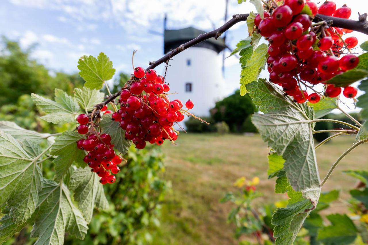 Windmill Vacation Home In Ledzin Near Baltic Sea Niechorze Eksteriør bilde