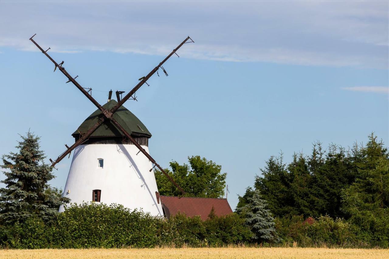 Windmill Vacation Home In Ledzin Near Baltic Sea Niechorze Eksteriør bilde