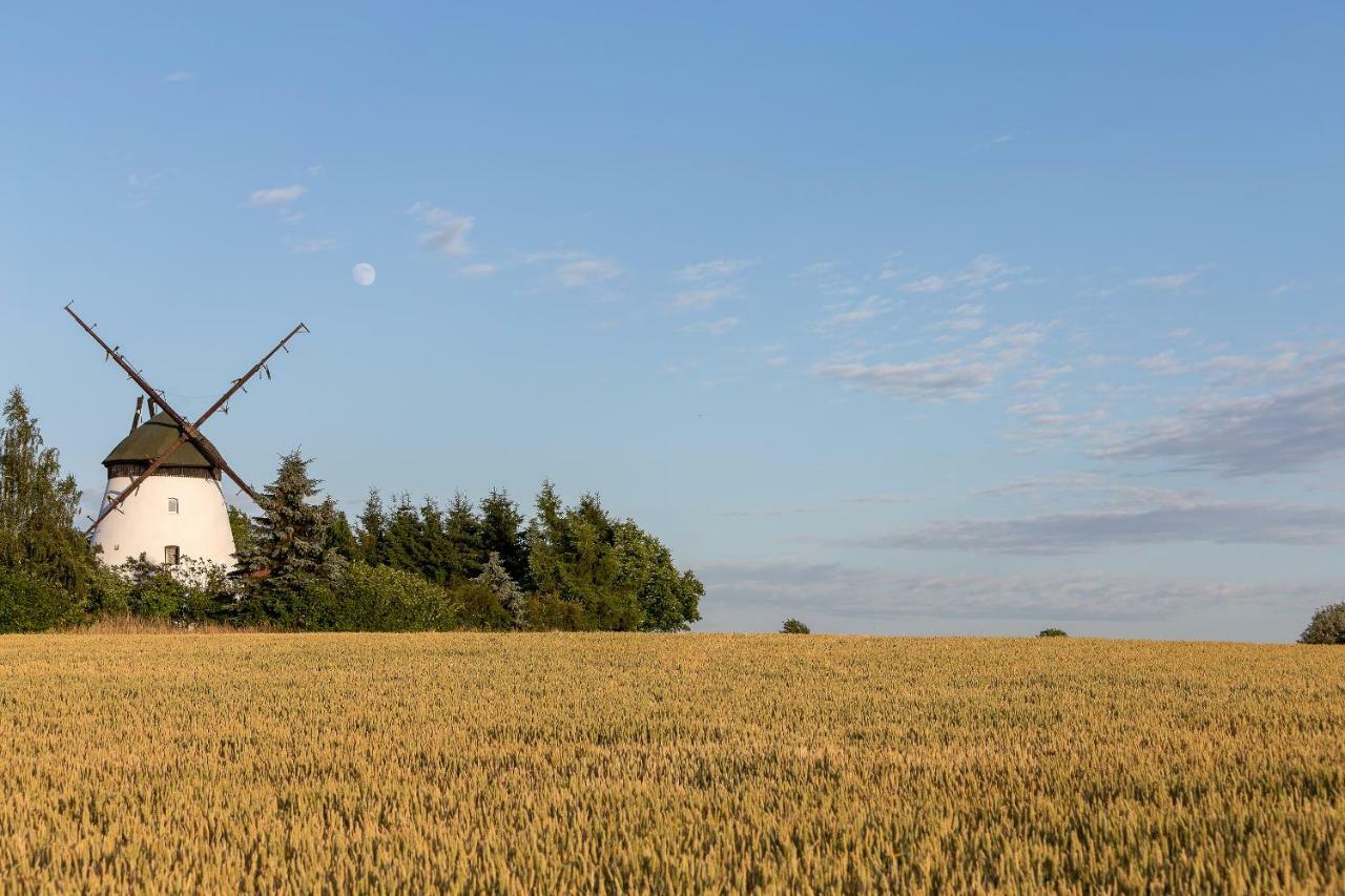 Windmill Vacation Home In Ledzin Near Baltic Sea Niechorze Eksteriør bilde